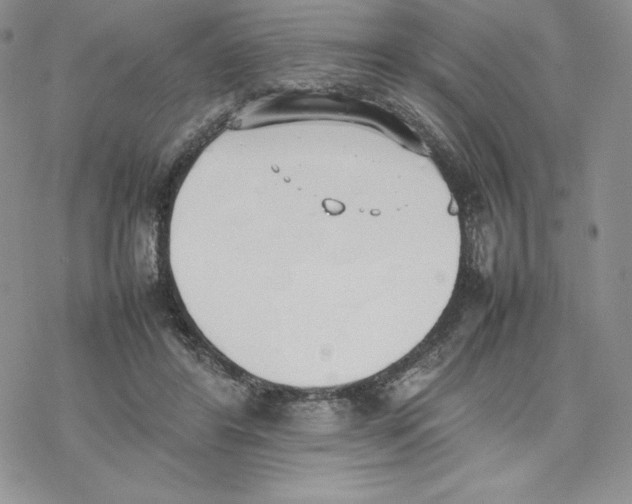 X0000077280404200611171607