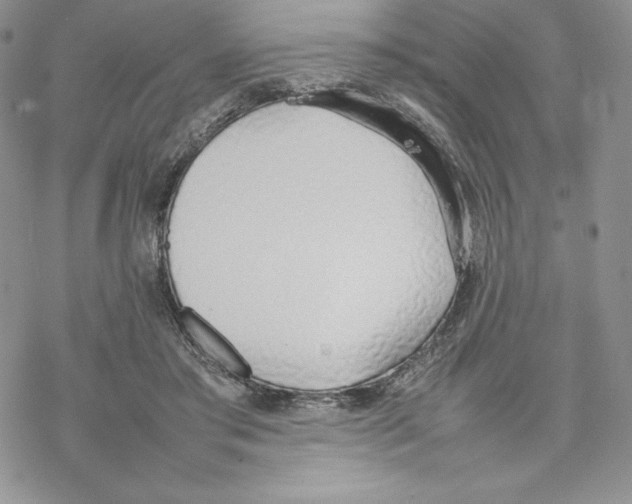 X0000077280405200611171607