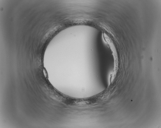 X0000077280407200611171607