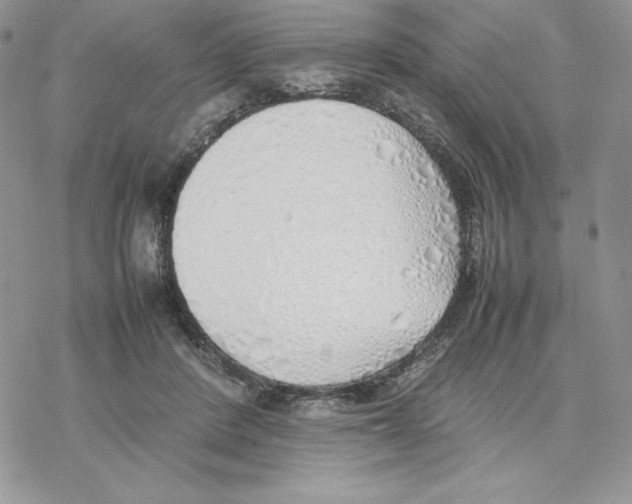 X0000077280408200611171607