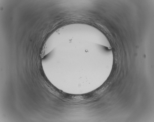 X0000077280409200611171607