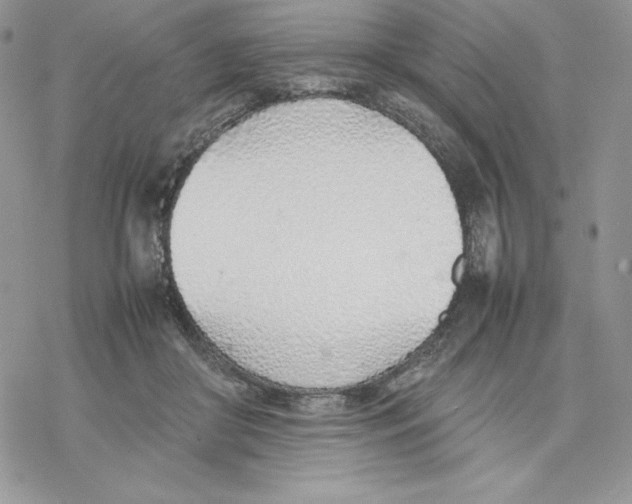 X0000077280410200611171607