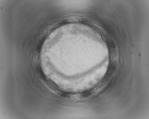 X0000077280411200611171607