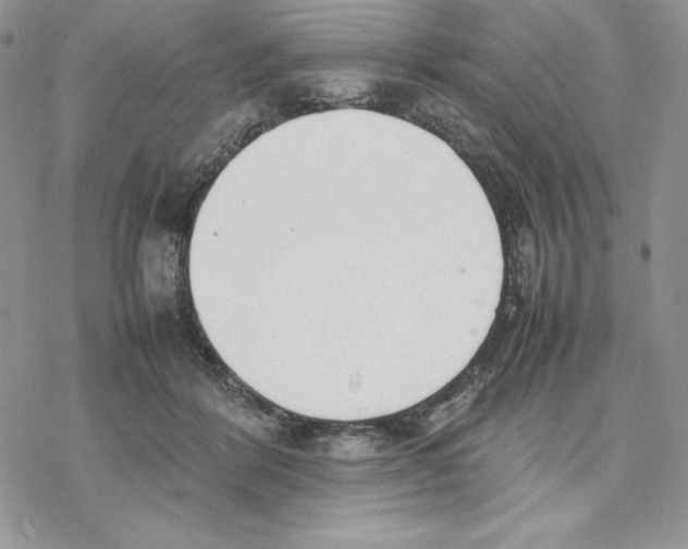 X0000077280412200611171607