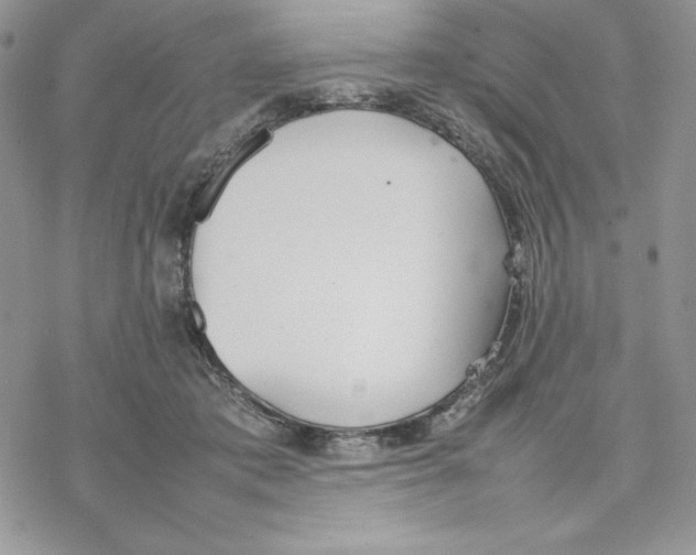 X0000077280413200611171607