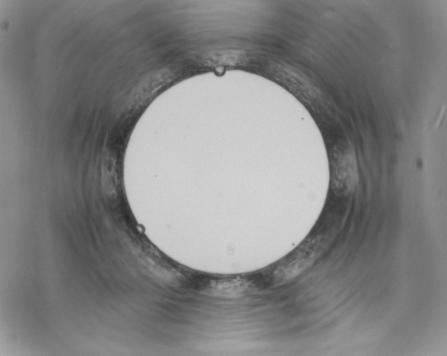 X0000077280414200611171607