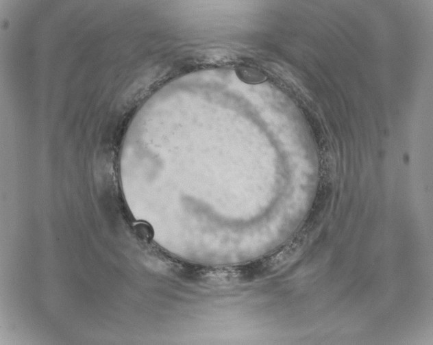 X0000077280415200611171607