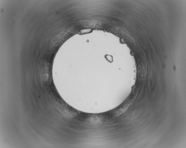 X0000077280416200611171607