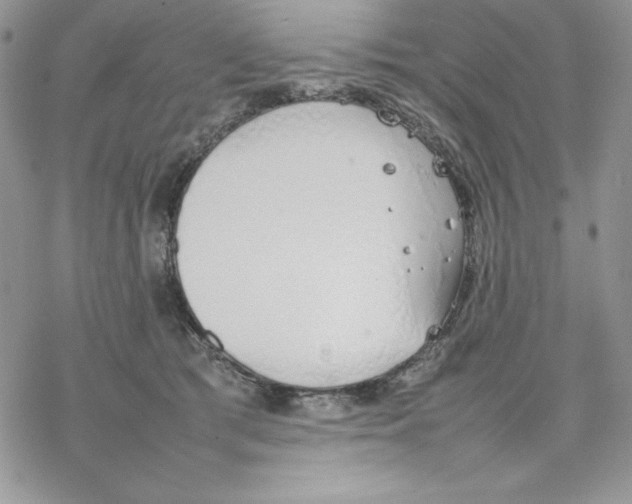 X0000077280417200611171607