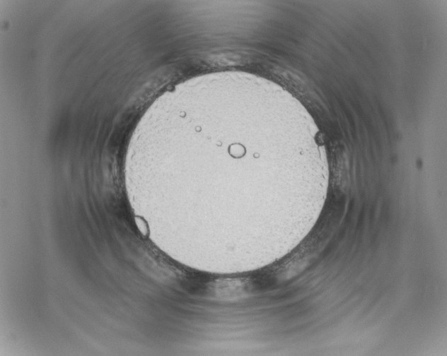 X0000077280418200611171607