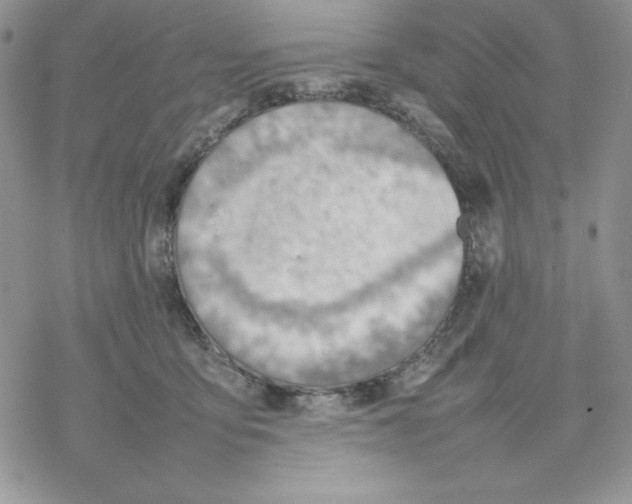 X0000077280419200611171607