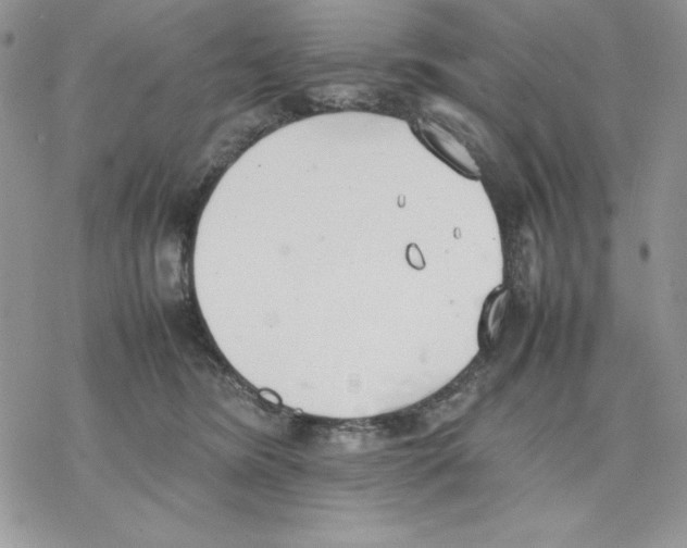 X0000077280420200611171607