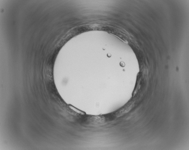 X0000077280421200611171607