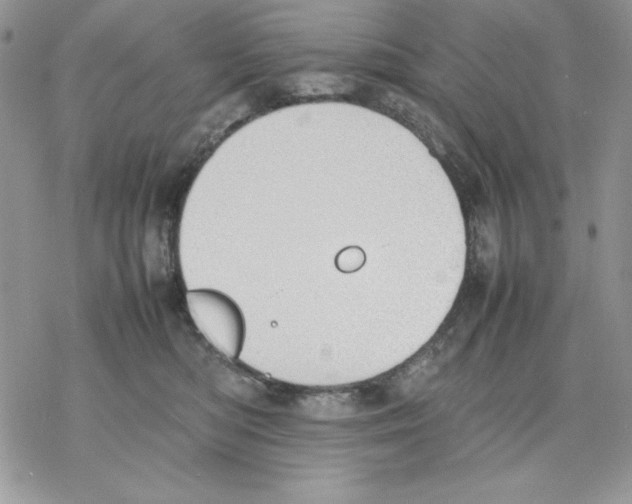 X0000077280422200611171607