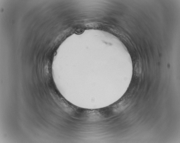 X0000077280424200611171607