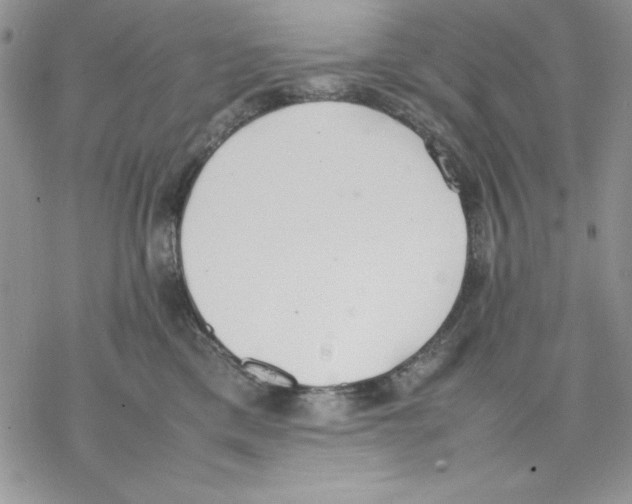 X0000077280425200611171607