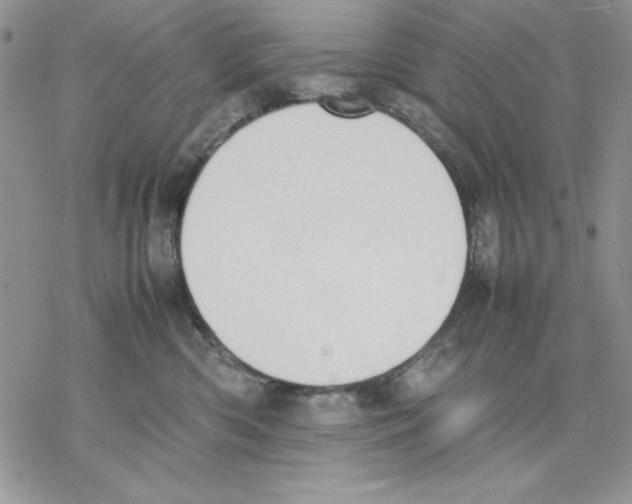 X0000077280426200611171607