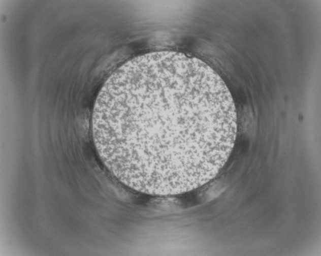 X0000077280427200611171607