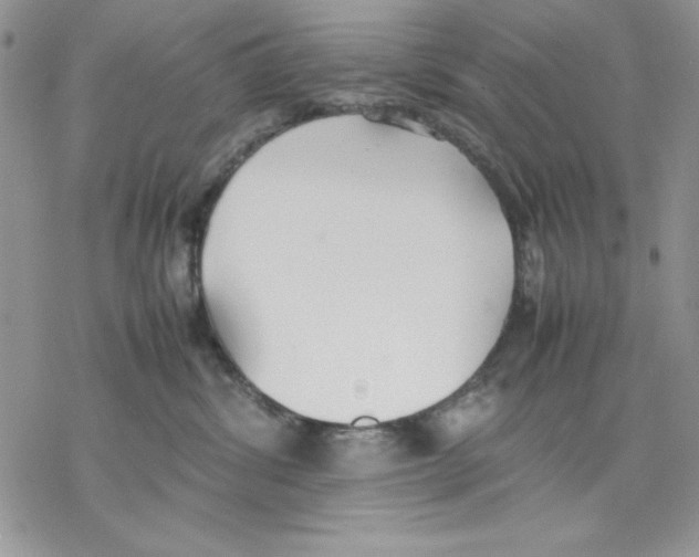 X0000077280428200611171607