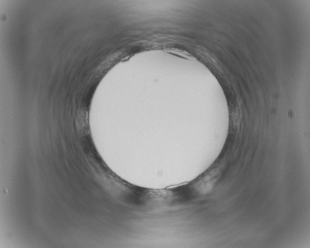 X0000077280429200611171607