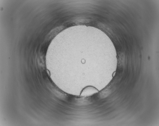 X0000077280430200611171607