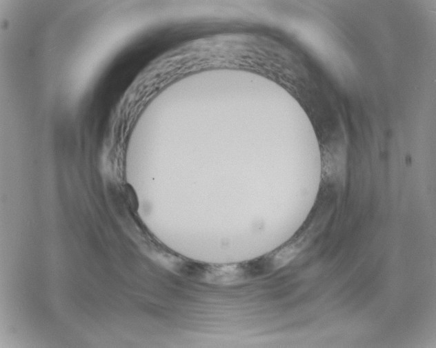 X0000077280431200611171607