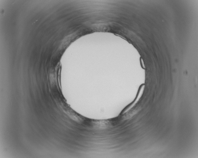 X0000077280432200611171607