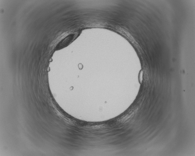 X0000077280433200611171606