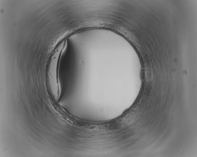 X0000077280434200611171606