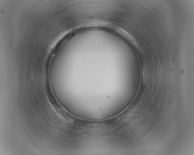 X0000077280436200611171606