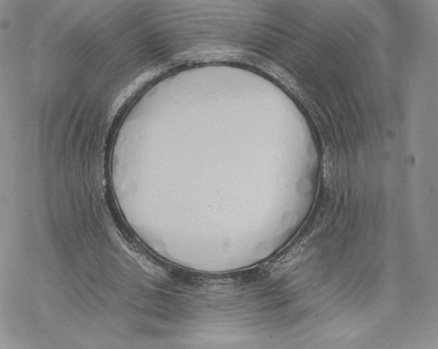 X0000077280438200611171606