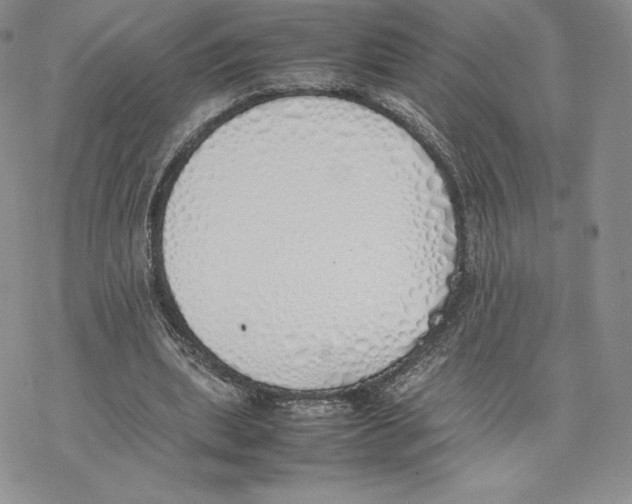 X0000077280439200611171606