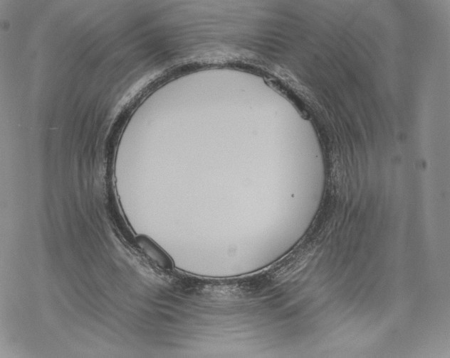 X0000077280440200611171606