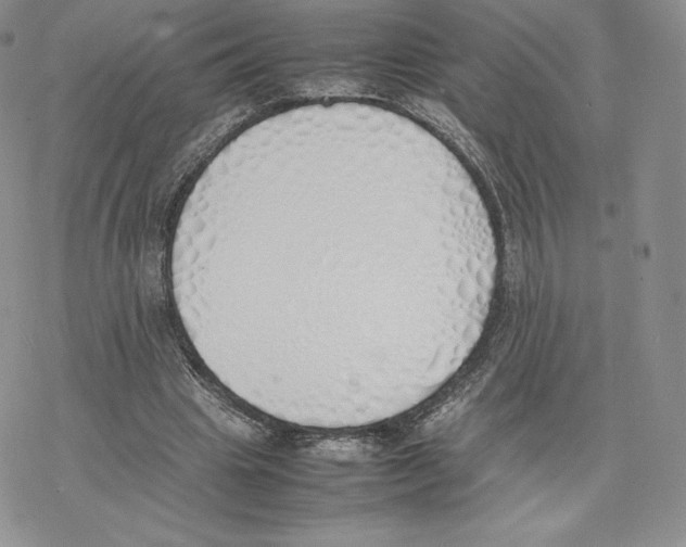 X0000077280441200611171606