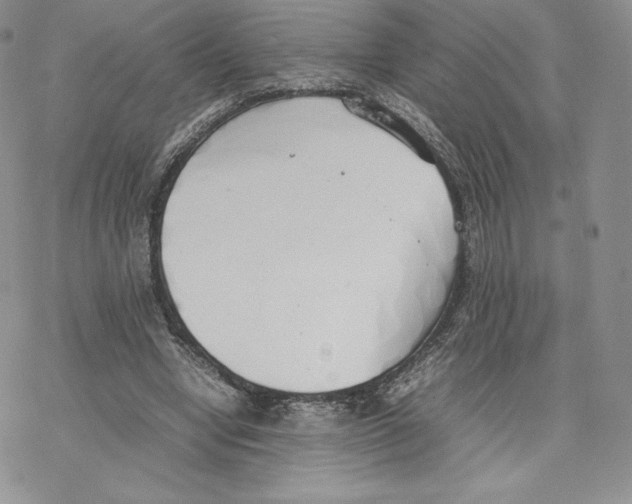 X0000077280442200611171606