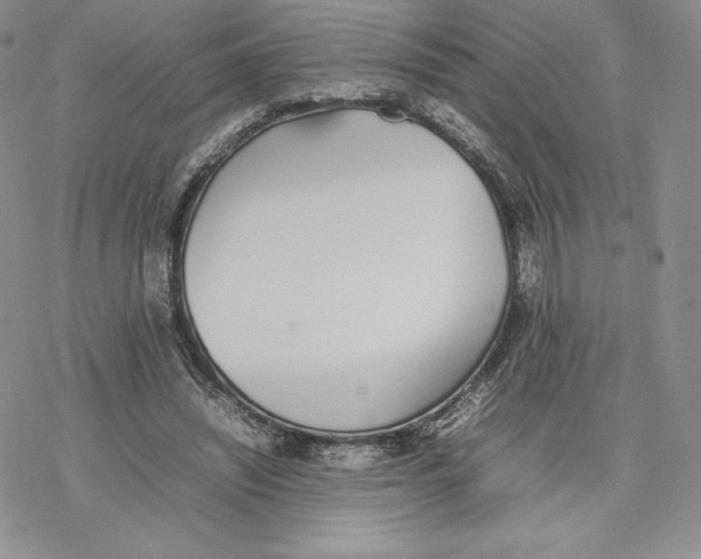 X0000077280444200611171606