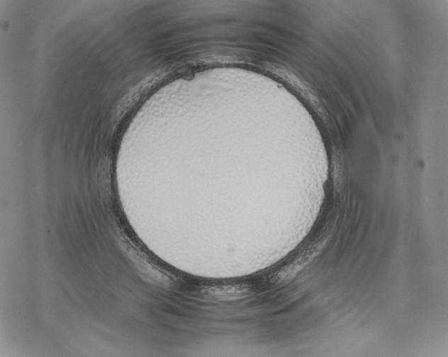 X0000077280445200611171606