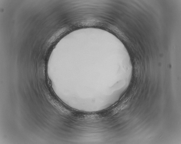 X0000077280446200611171606