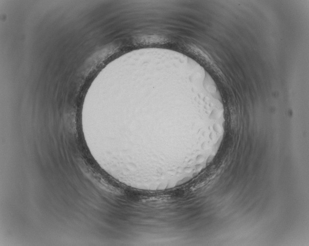 X0000077280447200611171606