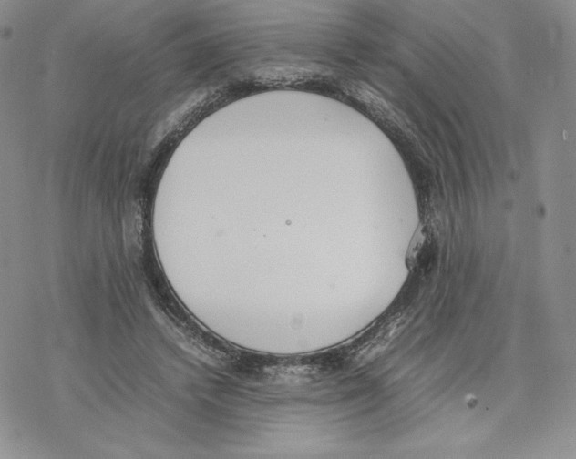 X0000077280448200611171606