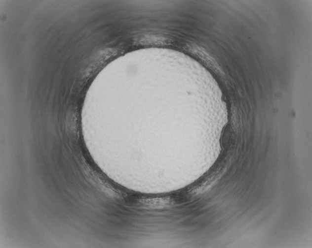 X0000077280449200611171606