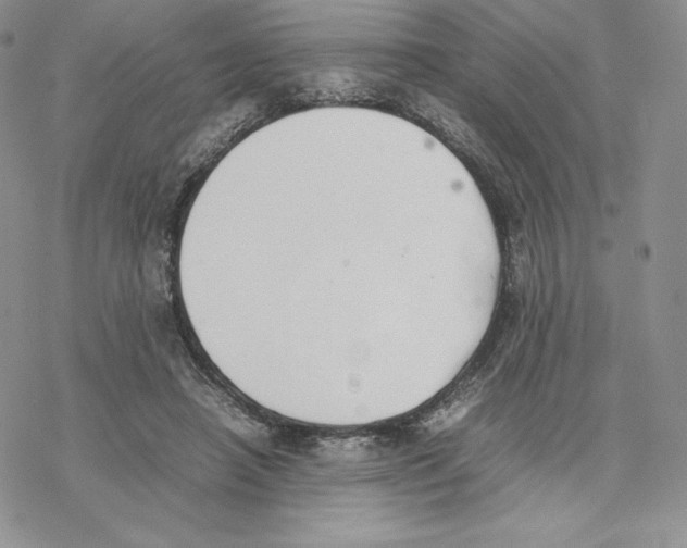 X0000077280450200611171606