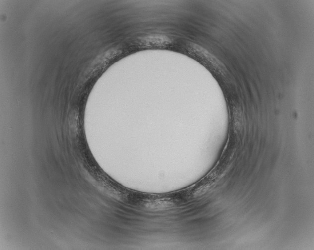 X0000077280451200611171606