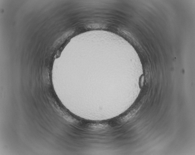 X0000077280453200611171606