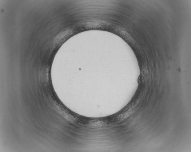 X0000077280454200611171606