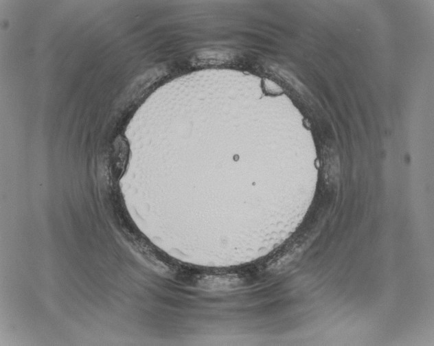 X0000077280455200611171606