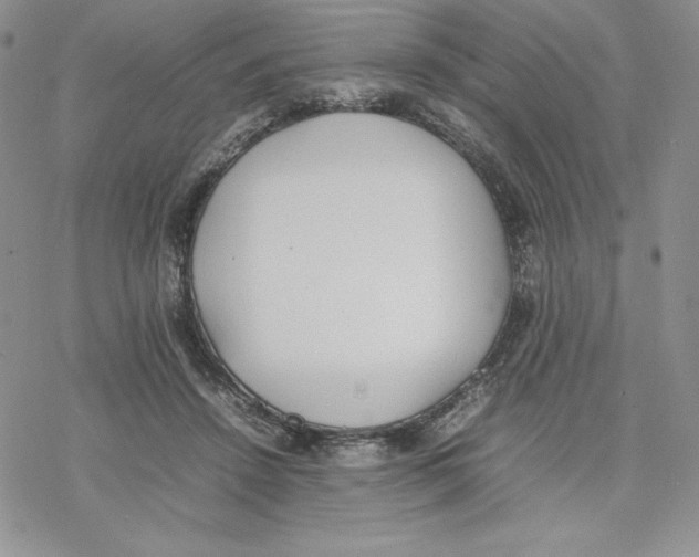 X0000077280456200611171606