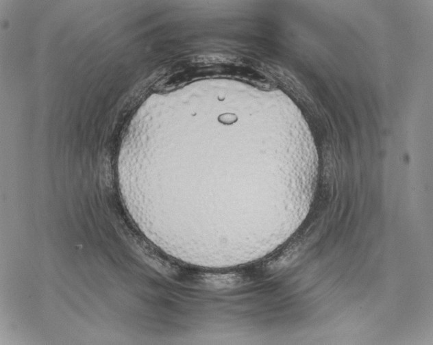 X0000077280457200611171606