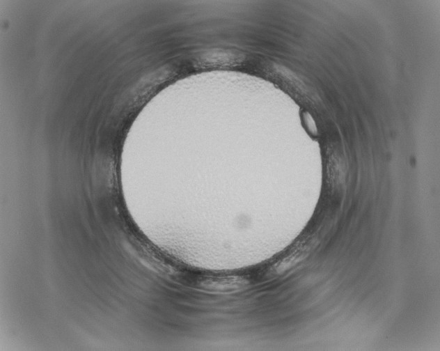 X0000077280459200611171606