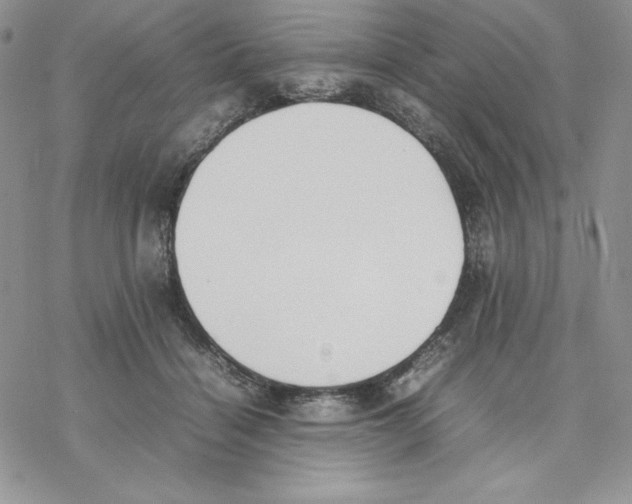 X0000077280460200611171606